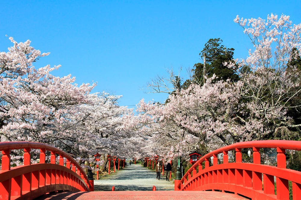 ⛩️ 스즈미가오카 하치만 신사 (스즈미가오카하치만진자) 이미지 14